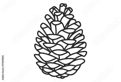 Detailed outline of a pine cone in black and white - stock vector