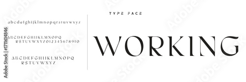 Elegant Font Uppercase Lowercase and Number. Classic Lettering Minimal Fashion Designs. Typography modern serif fonts regular decorative vintage concept. vector illustration
