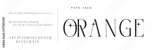 Elegant Font Uppercase Lowercase and Number. Classic Lettering Minimal Fashion Designs. Typography modern serif fonts regular decorative vintage concept. vector illustration