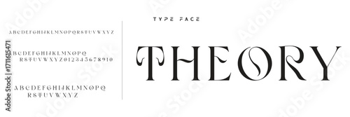 Elegant Font Uppercase Lowercase and Number. Classic Lettering Minimal Fashion Designs. Typography modern serif fonts regular decorative vintage concept. vector illustration