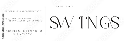 Elegant Font Uppercase Lowercase and Number. Classic Lettering Minimal Fashion Designs. Typography modern serif fonts regular decorative vintage concept. vector illustration