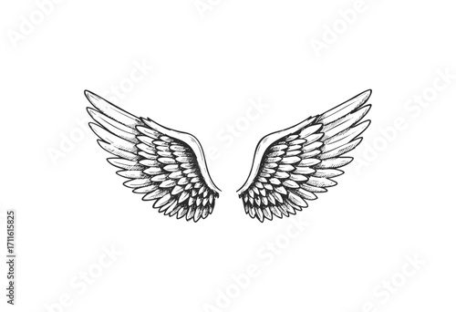 Intricate monochrome angel wings illustration - stock vector