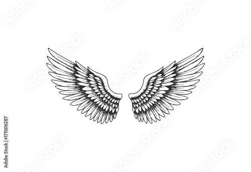 Intricate black and white angel wings illustration - stock vector