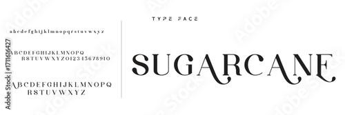 Lettering Minimalist Fashion. Elegant alphabet letters serif font and number. Typography fonts regular uppercase, lowercase.