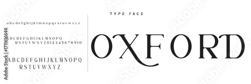 Lettering Minimalist Fashion. Elegant alphabet letters serif font and number. Typography fonts regular uppercase, lowercase.