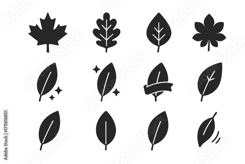 Nature silhouette icon set. featuring maple, oak, birch, chestnut, elm, and willow leaves.
