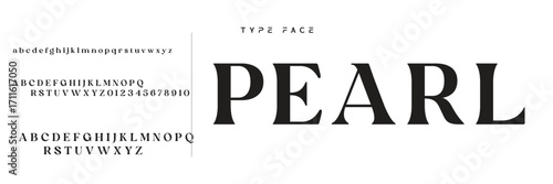 Lettering Minimalist Fashion. Elegant alphabet letters serif font and number. Typography fonts regular uppercase, lowercase.