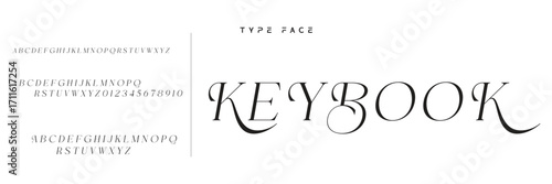 Lettering Minimalist Fashion. Elegant alphabet letters serif font and number. Typography fonts regular uppercase, lowercase.