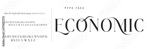 Lettering Minimalist Fashion. Elegant alphabet letters serif font and number. Typography fonts regular uppercase, lowercase.