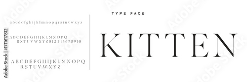 Lettering Minimalist Fashion. Elegant alphabet letters serif font and number. Typography fonts regular uppercase, lowercase.