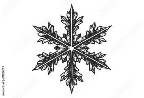 Detailed hand-drawn snowflake illustration with six pointed symmetry - stock vector