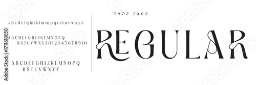 Lettering Minimalist Fashion. Elegant alphabet letters serif font and number. Typography fonts regular uppercase, lowercase.