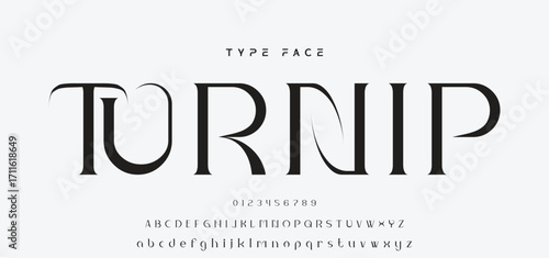 Lettering Minimalist Fashion. Elegant alphabet letters serif font and number. Typography fonts regular uppercase, lowercase.