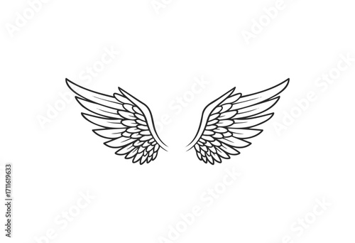 Black and white angel wings illustration - stock vector