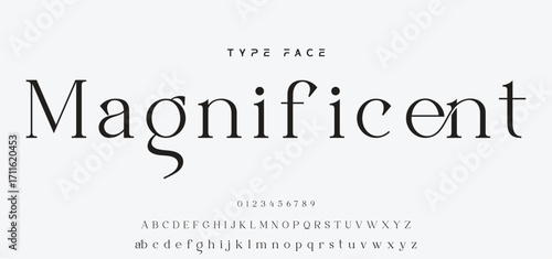 Elegant Font Uppercase and Number. Classic Lettering Minimal Fashion Designs. Typography modern serif fonts regular decorative vintage concept. vector illustration.