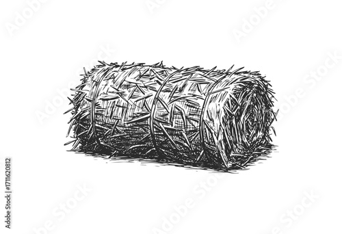Monochrome sketch of a hay bale with barbed wire details - stock vector