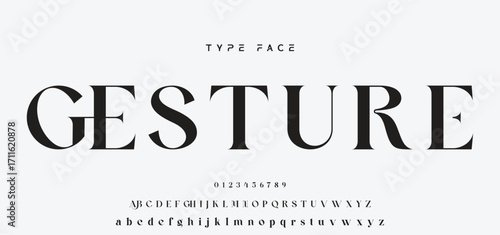 Elegant Font Uppercase and Number. Classic Lettering Minimal Fashion Designs. Typography modern serif fonts regular decorative vintage concept. vector illustration.