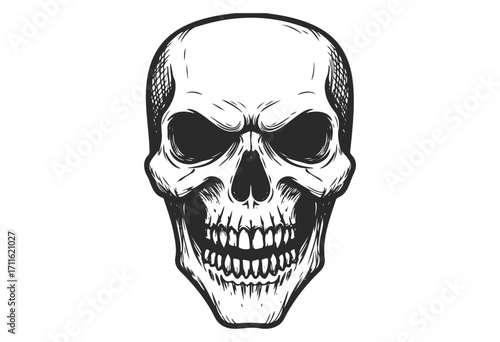 Monochrome detailed human skull illustration with empty eye sockets - stock vector