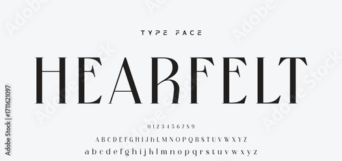 Elegant Font Uppercase and Number. Classic Lettering Minimal Fashion Designs. Typography modern serif fonts regular decorative vintage concept. vector illustration.