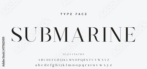 Elegant Font Uppercase and Number. Classic Lettering Minimal Fashion Designs. Typography modern serif fonts regular decorative vintage concept. vector illustration.