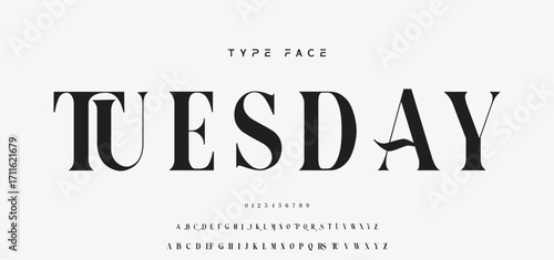Elegant Font Uppercase and Number. Classic Lettering Minimal Fashion Designs. Typography modern serif fonts regular decorative vintage concept. vector illustration.