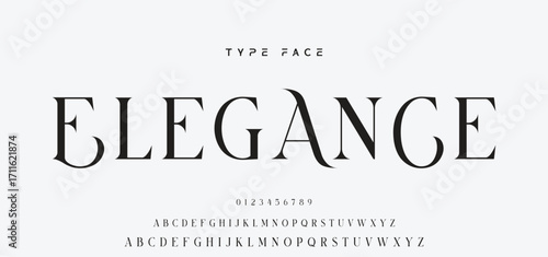 Elegant Font Uppercase and Number. Classic Lettering Minimal Fashion Designs. Typography modern serif fonts regular decorative vintage concept. vector illustration.
