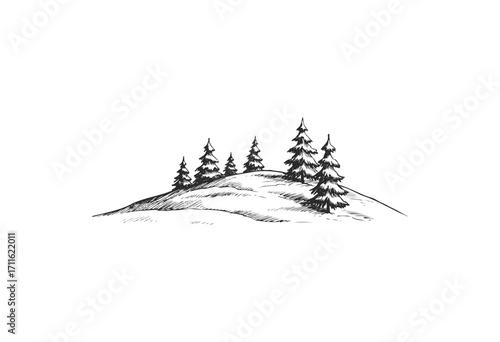 Winter landscape with pine trees on snowy hill, black and white sketch - stock vector