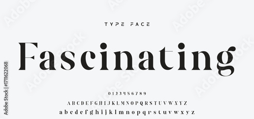 Elegant Font Uppercase and Number. Classic Lettering Minimal Fashion Designs. Typography modern serif fonts regular decorative vintage concept. vector illustration.