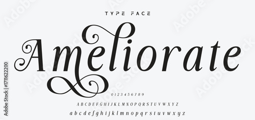 Elegant Font Uppercase and Number. Classic Lettering Minimal Fashion Designs. Typography modern serif fonts regular decorative vintage concept. vector illustration.