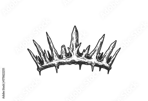 Vector black and white crown of thorns illustration with detailed spikes - stock vector