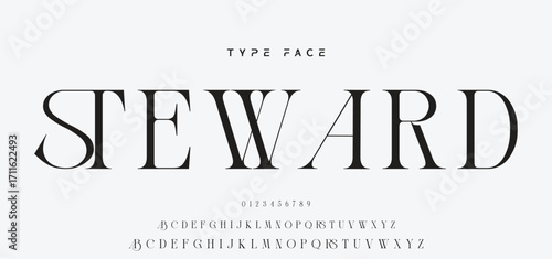 Elegant Font Uppercase and Number. Classic Lettering Minimal Fashion Designs. Typography modern serif fonts regular decorative vintage concept. vector illustration.