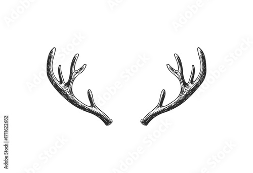 Detailed black antler illustrations for nature design - stock vector