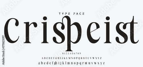 Elegant wedding alphabet letters font and number. Typography luxury classic lettering serif fonts decorative vintage retro concept. vector illustration.