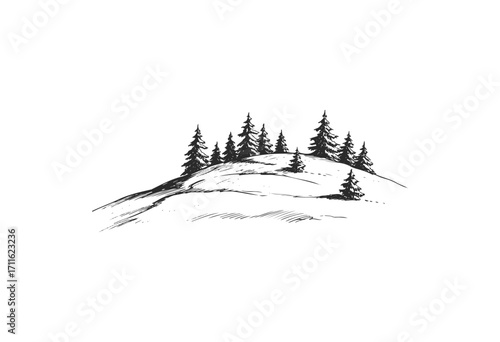 Monochrome ink drawing of evergreen trees on a snowy hilltop - stock vector