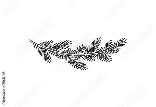 Hand-drawn evergreen pine branch illustration with detailed needles - stock vector