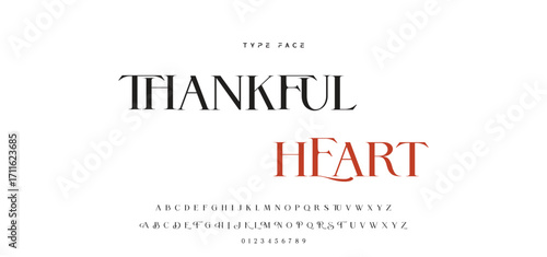 Elegant wedding alphabet letters font and number. Typography luxury classic lettering serif fonts decorative vintage retro concept. vector illustration.