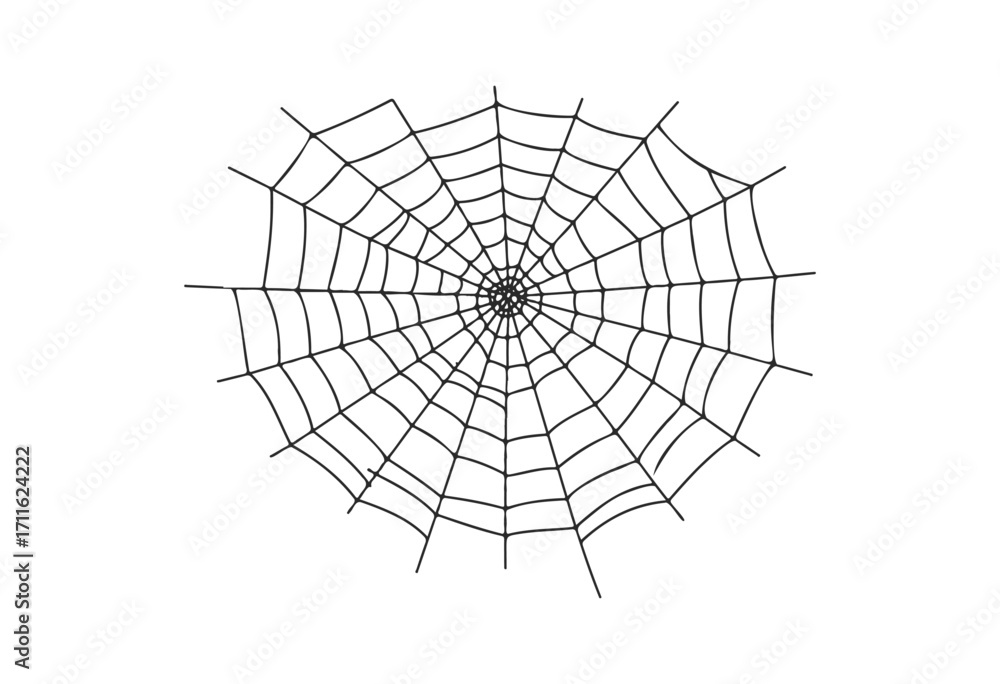 Fototapeta premium Symmetrical spider web design - stock vector
