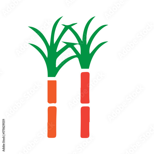 Sugarcane Illustration