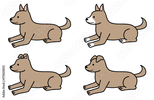 犬・保護犬・雑種犬／茶色い犬
