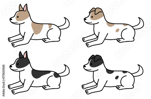 犬・保護犬・雑種犬／ブチ犬
