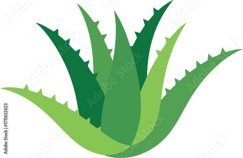 Vibrant aloe vera plant leafy green nature health beauty icon vector