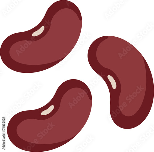 Red kidney beans food ingredient healthy organic raw vector