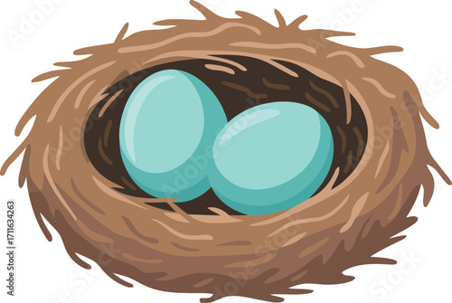 Robin eggs nest spring season nature wildlife organic nesting vector