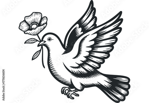 Dove with flower in beak on transparent background. Vector hand drawn illustration