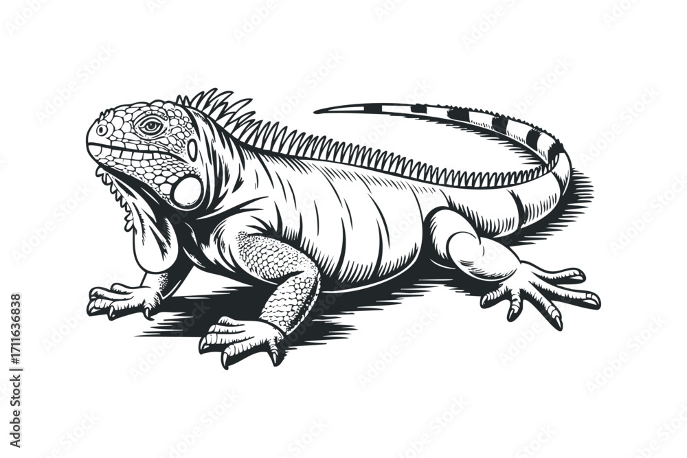 Obraz premium Detailed Ink Drawing of an Iguana on a Transparent Background. Vector hand drawn illustration