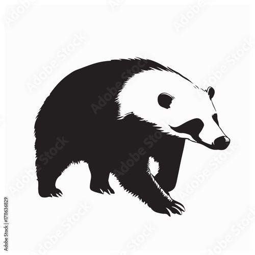 Tamandua Wild Animal Vector Illustration Isolated on White Background