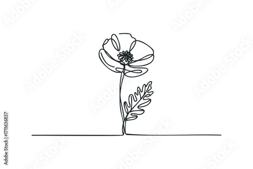 Single line drawing of a delicate poppy flower with a leaf on a transparent background. Vector hand drawn illustration