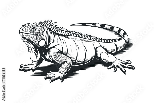 Detailed Ink Drawing of an Iguana on a Transparent Background. Vector hand drawn illustration