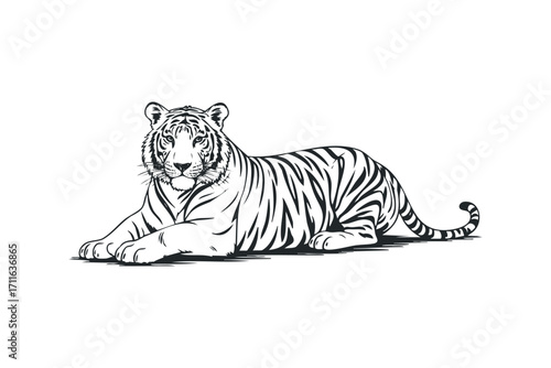 Black and white tiger lying down. Vector hand drawn illustration