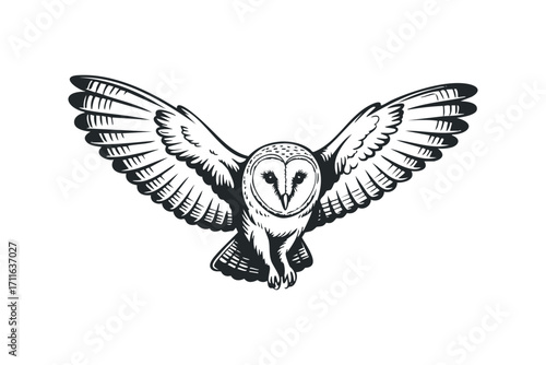 Barn owl with outstretched wings on transparent background. Vector hand drawn illustration